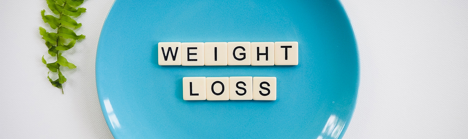 Healthy Weight Loss Part 1 – What Really Works?
